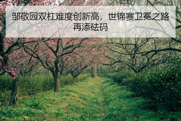 邹敬园双杠难度创新高，世锦赛卫冕之路再添砝码