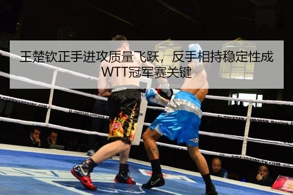王楚钦正手进攻质量飞跃，反手相持稳定性成WTT冠军赛关键