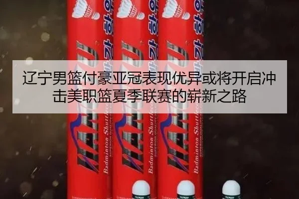 辽宁男篮付豪亚冠表现优异或将开启冲击美职篮夏季联赛的崭新之路