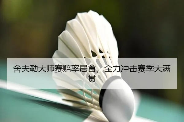 she-fu-lei-da-shi-sai-pei-lv-ju-shou-quan-li-chong-ji-sai-ji-da-man-guan-2-564.jpg