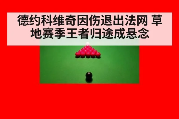 德约科维奇因伤退出法网 草地赛季王者归途成悬念